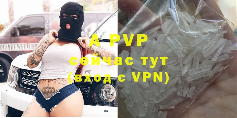 даркнет сайт  Владикавказ  A-PVP СК КРИС 